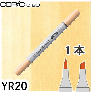 �R�s�b�N�`���I�P�iYR20