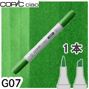 �R�s�b�N�`���I1�{�P�i G07 Nile Green �i�C���O���[�� �� �� �A�� ���R �A���R�[���}�[�J�[ �C���X�g ��� COPIC ciao �R�s�b�N ���S��