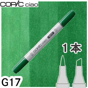 �R�s�b�N�`���I1�{�P�i G17 Forest Green �t�H���X�g�O���[�� �� �� �A�� ���R �A���R�[���}�[�J�[ �C���X�g ��� COPIC ciao �R�s�b�N ���S��