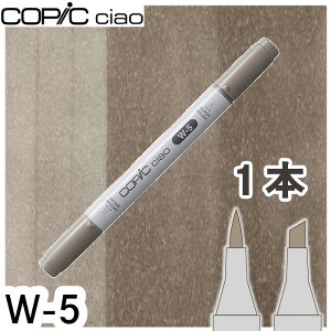 �R�s�b�N�`���I�P�iW-5