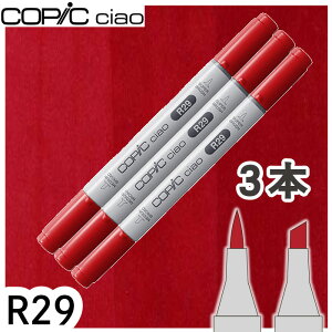 �R�s�b�N�`���I3�{�Z�b�gR29