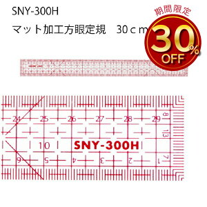 yyVLO1ʁzSNYKЖʃ}bgH30cm@SNY-300Hipb`[N@}ā@Ԋu@ʂ@s@30cm@50cm@L@@K@@g₷@@D@