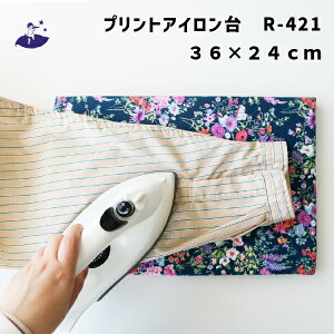 vgAC  SS R-421@36×24cm(ԕ@k@^AC@CVc@{@RpNg@킢@@CeA@x[VbN@Vv@v@vX@e[u@