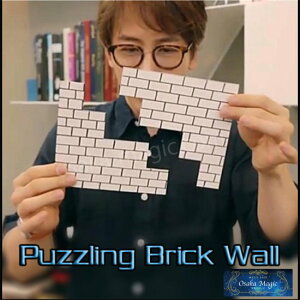 pYOubNEH[`Puzzling Brick Wall`