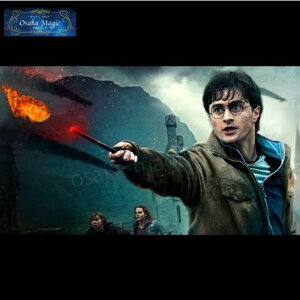 CZfBIpCEHh`INCENDIO Pyro Wand`|C[W,}WbN,}WbN,i,̔,Vbv,}WV,,osaka,magic