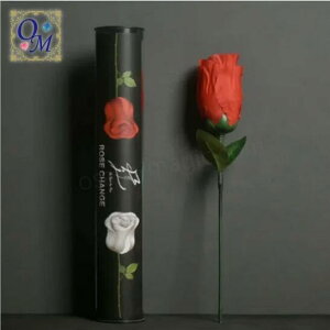 [Y`FW`Rose Change by Hyun Soo Kim`|C[W,}WbN,}WbN,i,̔,Vbv,}WV,,osaka,magic