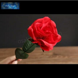 J[`FWO[Y`Color Changing Rose`|C[W,}WbN,}WbN,i,̔,Vbv,}WV,,osaka,magic