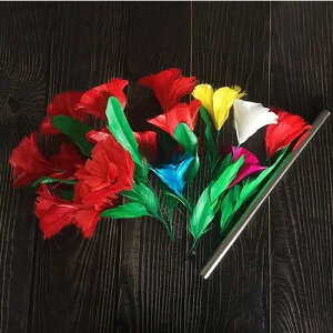 AsAOu[PJ[`FWO`Appearing Bouquets & Color Changing`|C[W,}WbN,}WbN,i,̔,Vbv,}WV,,osaka,magic