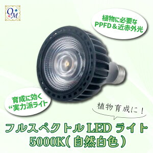 tXyNgLEDCg A琬Cg 5000K E26