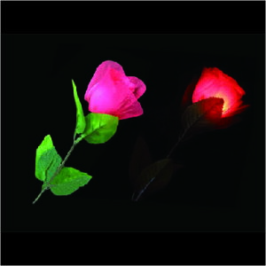 ^XgCg[Y`Mentalist Light Rose`|C[W,}WbN,}WbN,i,̔,Vbv,}WV,,osaka,magic