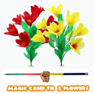 Magic Cane to 2 Flowers ケーン to 2フラワー|イリュージョン,大阪マジック,マジック,手品,販売,ショップ,マジシャン,大阪,osaka,magic