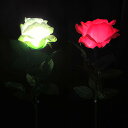 Super Light Rose 　スーパーライトローズ|イリュージョン,大阪マジック,マジック,手品,販売,ショップ,マジシャン,大…