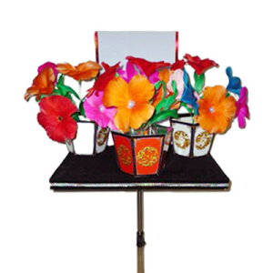 Appearing Bouquet & Vase Table|C[W,}WbN,}WbN,i,̔,Vbv,}WV,,osaka,magic