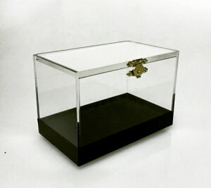 vXCb`{bNX`Pro Switch Box`|C[W,}WbN,}WbN,i,̔,Vbv,}WV,,osaka,magic