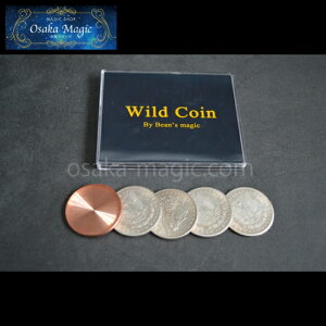 ChRC `WILD COINS`|C[W,}WbN,}WbN,i,̔,Vbv,}WV,,osaka,magic