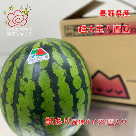 訳アリ超大玉スイカ　長野県産　1玉約12キロ　良品（C5L）　大阪市　中央卸売市場よりお届け