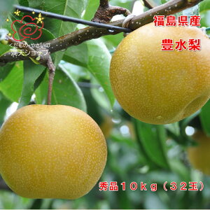 L Gi Y ϔ68ʓ 10L {̑蕨  s@s肨͂