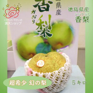 y萔̔zY  藜 Gi5L hV̓ɑlCs s肨͂