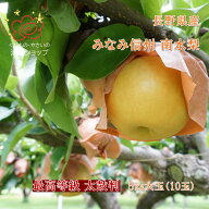 勤労感謝の日 大セール衝撃価格 長野県産 南水梨 太鼓判 超大玉サイズ　JAみなみ信州 5キロ　大阪市　中…