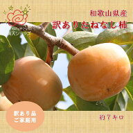 驚きの安さ 訳あり 和歌山のたねなし柿 和歌山県産 7キロ 玉数おまかせ 大阪市 中央卸売市場よりお届け