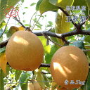 【最安値に挑戦】鳥取県産 王秋　おうしゅう　梨 秀品 5キロ　大阪市　中央卸売市場よりお届け
