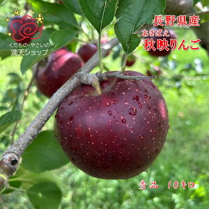 쌧Y Hf  񂲎OZ ΂ YnI i10L@s@s肨͂
