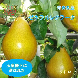 yňlɒz[lN[N ̗m Gi 5L@s@s肨͂
