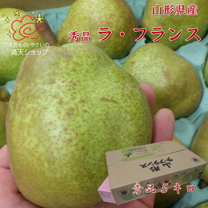 R`Y EtX Yʓ{̑Yn Ղ5L@s s肨͂