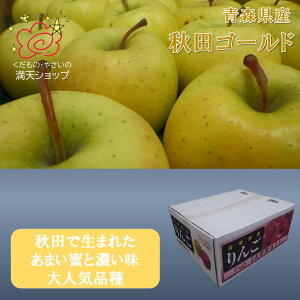 XY HcS[h  Ɩ󂠂 ꏏZ[ @Iׂ3L 5L 10L@s@s肨͂