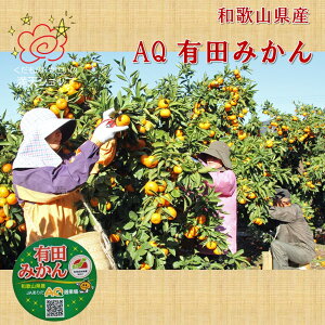 ̈ Lc݂ AQ a̎RY Iׂ3` lłi s s肨͂