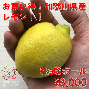  a̎RY ] [J X{ s s肨͂ Mtg J Ε v[g    ΂ c c   N@eʁ@