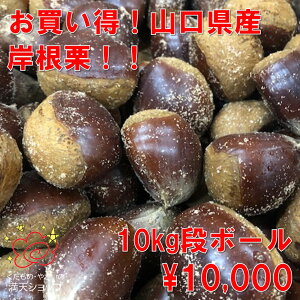 ݍI RY ] I Ӑ s s肨͂ Mtg J Ε v[g    ΂ c c  Â @aρ@ØIρ@Vb