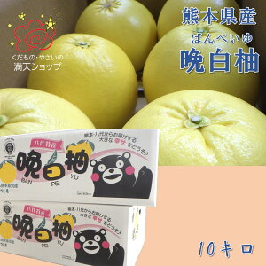 ������� �F�{���Y �Ӕ��M �΂�؂��� �u�����h�Y�n �����i ���s ���������s���肨�͂�