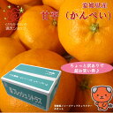 大特価大チャンス ちょっと訳あり甘平（かんぺい）大きさおまかせ 編集部いちおし商品 大阪市 中央卸売市場よりお届け