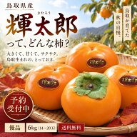 鳥取県産 輝太郎柿 きたろう柿 ちょっと訳ありお買い得 ブランド柿 希少品種 優品 6キロ 玉数おまかせ 大…