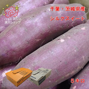 VNXC[g@t͈錧Y@Ï@5L@LTCY@VN̂悤Ȋ炩ȐH@ ĂɂƂ̊ÂQ@s@sꂩ@͂