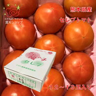 フルーツトマト　熊本県産　くまもと塩トマト　セレブトマト　1kg　大阪市　中央卸売市場から　お届け　…