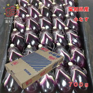 なす　高知県産　小なす　700g　Mサイズ　大阪市　中央卸売市場から　お届け　ころころ　つややか　まる…