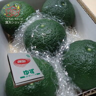 【オススメ】徳島県産　青ゆず　香酸柑橘　この時期限定　爽やかで強い芳香　清涼感あふれる香り　柚子胡…