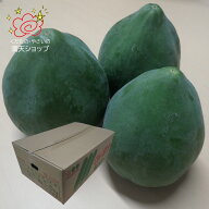 青パパイヤ　宮崎県産　5kg　6-8玉入り　大阪市　中央卸売市場から　お届け　国産青パパイヤ　シャキシャ…