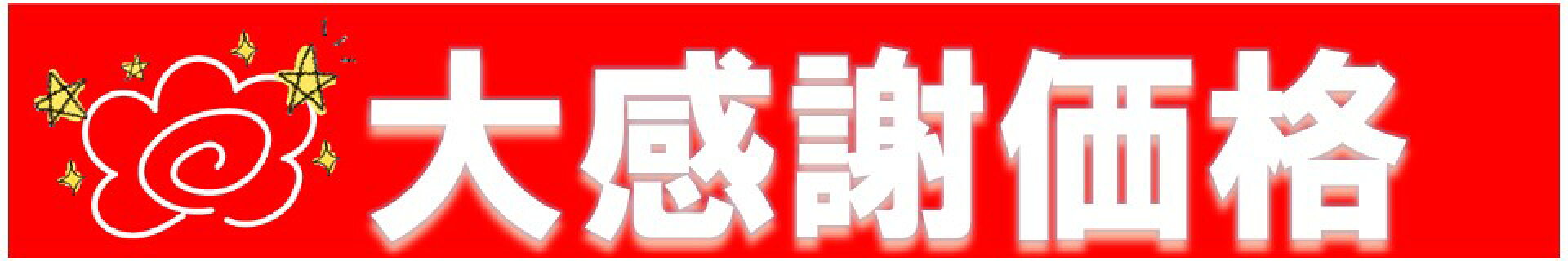 大感謝価格バナー