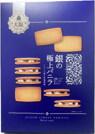 大阪　お土産　大阪　銀 の 極上 バニラ　塩 バニラ レーズン サンド　10個入　個包装　 土産　グルメ 関西 手土産　　通天閣　修学旅行　インスタ映え　京都　東京　神戸　名古屋　梅田　横浜　出張土産　レーズンサンド　ホワイトデー
