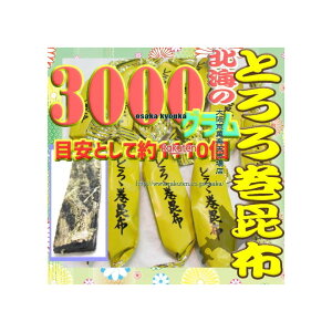 ㋞ZR@OEΈ@3000OyڈƂĖ1110z S|@ kC Ƃ늪 z ×1܁yfuzyi͕ʓrjz