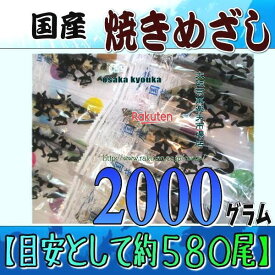 大阪京菓ZRおかし企画 OE石井　2000グラム【目安として約580尾】 ■国産■焼きめざし ×1袋【fu】【送料無料（沖縄は別途送料）】