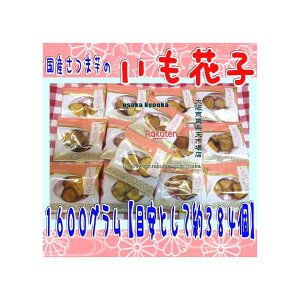 ㋞ZR OEΈ@1600OyڈƂĖ384z Y܈@Ԏq ×1܁yfuzyi͕ʓrjz