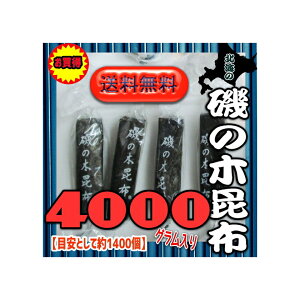 ㋞ZR@OEΈ@4000OyڈƂĖ1400z kC ̖ z ×1܁yi͕ʓrjzyfuzsԌZ[IIt