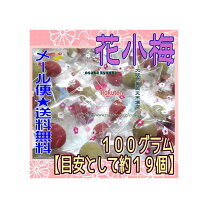 楽天市場】小梅 個包装（駄菓子｜スイーツ・お菓子）の通販