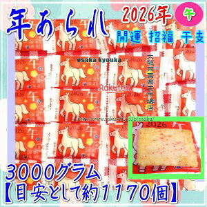 ㋞يyVsXZR OEΈ@3000OyڈƂĖ1170z 2026N@N@߁i܁j ×1܁yfua5zyi͕ʓrjz