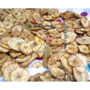 ㋞يyVsXZR OEΈ@2000OyڈƂĖ1600z TNTNH@ăoii`bv ×1܁yfuzyi͕ʓrjz