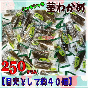 ㋞يyVsXZR OEΈ@250OyڈƂĖ40z  VLVL s킩 ×1܁ymaa5zy[֑z